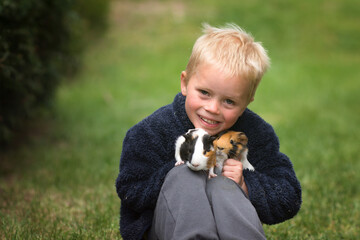 Little boy hold two guinea pigs. Kid with pet friends, animal care concept. 