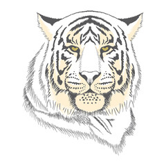 Freehand drawing of a tiger on a white background. Greeting card for New Year of the Tiger 2022, Illustration for printing on T-shirts, textiles and souvenirs.