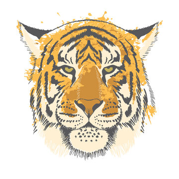 Freehand drawing of a tiger on a white background. Greeting card for New Year of the Tiger 2022, Illustration for printing on T-shirts, textiles and souvenirs.