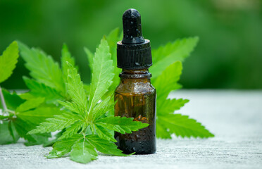 Cannabis herb and leaves for treatment broth, tincture, extract, oil.