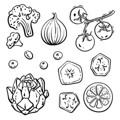 Black line sketch collection of vegetables, fruits, herbs and berries isolated on white background. Doodle hand drawn icons. Vector illustration