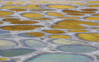 Spotted lake