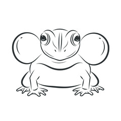  Vector of frog, A frog looking for a mate image design Isolated on the white background. Amphibian. Animal. Frog Icon. logo.