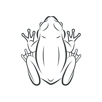 recommend clip art:  Vector of frog, image design Isolated on the white background. Amphibian. Animal. Frog Icon. logo.  ed vector illustration.