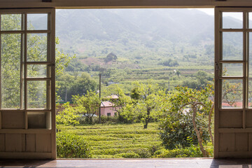 Fototapeta premium the beautiful landscape of green tea farm in Korea.