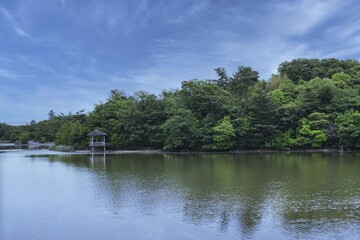 Fototapeta na wymiar 公園と池と空 
