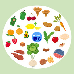 Set of Vitamin B6 origin natural sources. Healthy diary food meat, vegetable, egg, nuts, fish, beetroot. Organic diet products, natural nutrition collection. Vector flat cartoon illustration isolated