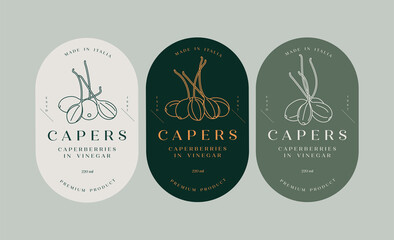 Vector set labels with pickled capers - simple linear style. Emblems composition with caperberries and typography.