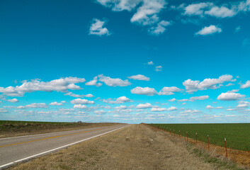 lonely single road highway with fields on sides leading into the horizon and blue sky with white puffy clouds