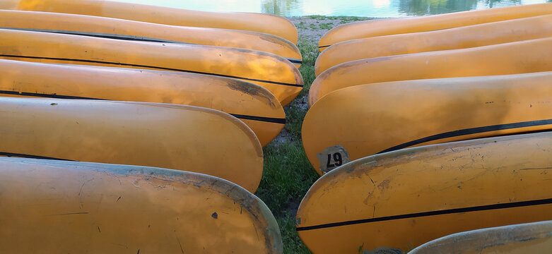 Plastic canoes in row without paddles as a summer camp concept