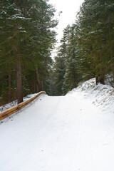 The road in the middle of the forest covered with snow in winter.