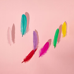 tropical pink, red, green, blue, purple and orange feathers fluing in the air on the bright pink background. creative decoration idea. abstract art
