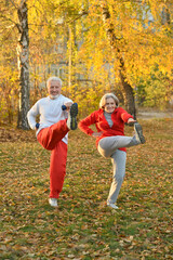 Fototapeta premium portrait of beautiful caucasian senior couple in the park exercising