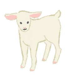 羊　仔羊　ラム　動物　手描き　イラスト　素材
