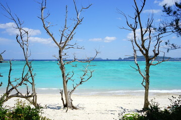 Fototapeta na wymiar Beautiful tropical island. Calm waves on the blue water with trees. Ino Beach in Zamami island, Okinawa, Japan - 日本 沖縄 座間味島 イノーの浜