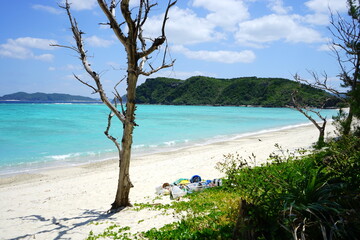 Beautiful tropical island. Calm waves on the blue water with trees. Ino Beach in Zamami island, Okinawa, Japan - 日本 沖縄 座間味島 イノーの浜	