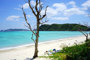 Fototapeta na wymiar Beautiful tropical island. Calm waves on the blue water with trees. Ino Beach in Zamami island, Okinawa, Japan - 日本 沖縄 座間味島 イノーの浜 