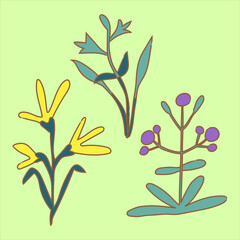 Set of hand drawn botanical elements, cartoon decorative flowers and leaves, isolated vector illustration