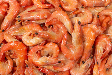 Shrimps background texture. A lot of shrimps. Cooked shrimps.