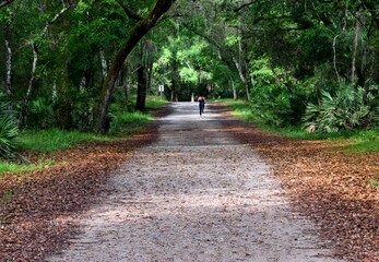 Person jogging along pathway at a distance state park Florida, USA