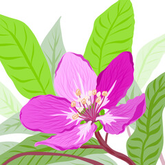 Spring pink flower. Vector illustration.