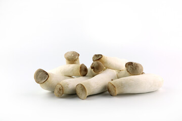 king oyster mushroom or pleurotus eryngii mushroom are on the white table in the kitchen for cooking vegetarian menu