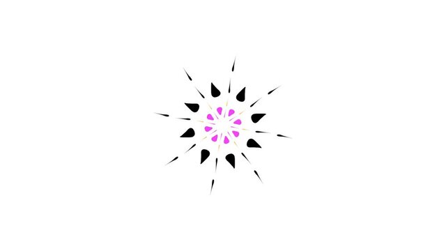 Animation flower.  2d animation black and white flower