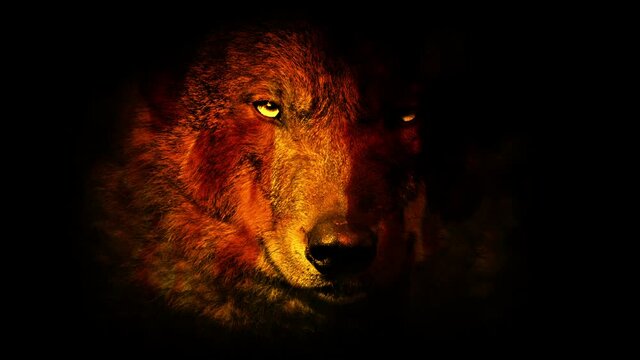 Wolf Growls In Fire With Glowing Eyes