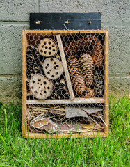 wooden box with insect, bee hotel shelter