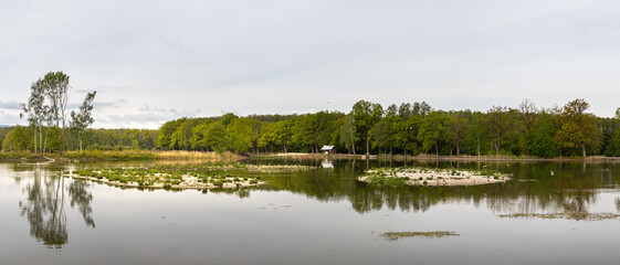 small islands with waterfowl in the pond, Vrbenske rybniky Nature reserve, Ceske Budejovice, Czech republic