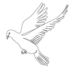 sketch of flying bird, dove isolated
