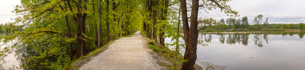 path with alley of trees on the shore of the pond, Vrbenske rybniky Nature reserve, Ceske Budejovice, Czech republic