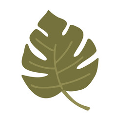 Green monstera leaf. Hand drawn vector illustration. Isolated element on a white background. Tropical plant