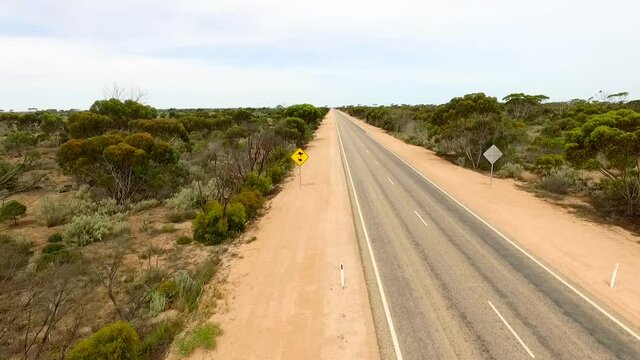 Empty Road with Road Sign, Australia outback, Eyre Highway, Eucalyptus Forest Landscape, Aerial