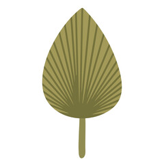 Green leaf of exotic tropical plant. Hand drawn vector illustration. Isolated element on a white background