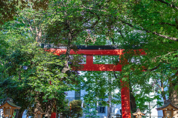 東京都新宿区の繁華街にある神社の景色