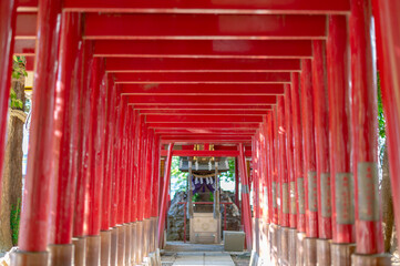 東京都新宿区の繁華街にある神社の景色