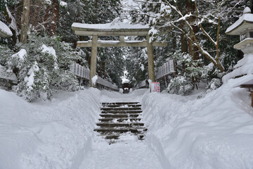 雪の中の神社