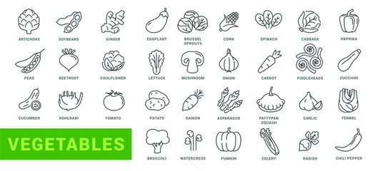 Vegetable icon set. Minimal thin line style. Outline icons collection vegetables zucchini, tomato, radish, mushroom, ginger, fennel, corn, celery. Vector illustration Design on white background EPS 10