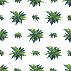 Seamless pattern from palm trees top view. Good for clothing and textiles.