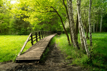 Wooden path on a road in the Kampinos National Park in Poland, north of Warsaw. Very green in spring, bridge over a swamp.