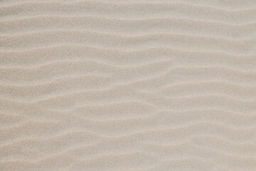 Fototapeta na wymiar Sand Dunes and Beach Texture Background