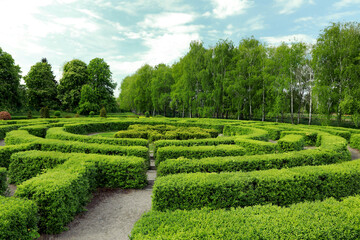 Beautiful view of green hedge maze on sunny day