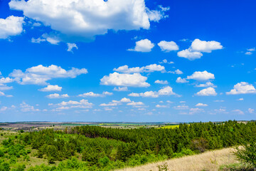 Green forest and fields under the blue sky. Summer landscape