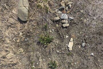 根拠, 質感, けがす, 自然, あばたのある, 土, 地球, 茶色, 模様, 岩, mud, ドライ, 地球の, アブストラクト, ざらざらした, 野原, 緑, ナチュラル, 日照り, ざらざらの, 農学, 表面, 草, エコロジー, 壁