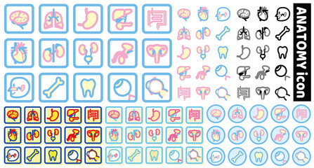 Vector Anatomy Icons