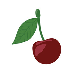 cherry with leaves