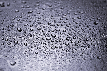 water drops close up photo
