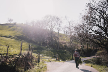 Gardener walking for a path in the middle of fields with a bunch of flowering branches