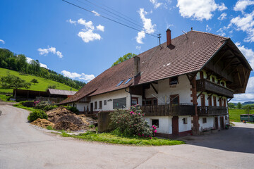 Fototapeta na wymiar Steinach im Schwarzwald